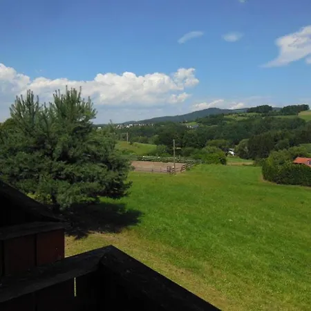 Schwarzholz *